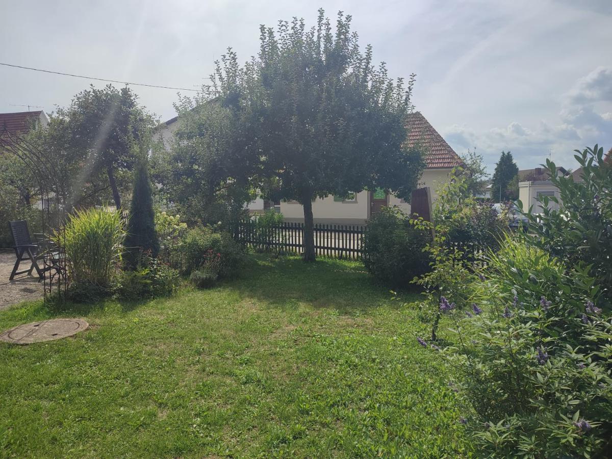 לופינגן Ferienwohnung Hasenfratz מראה חיצוני תמונה